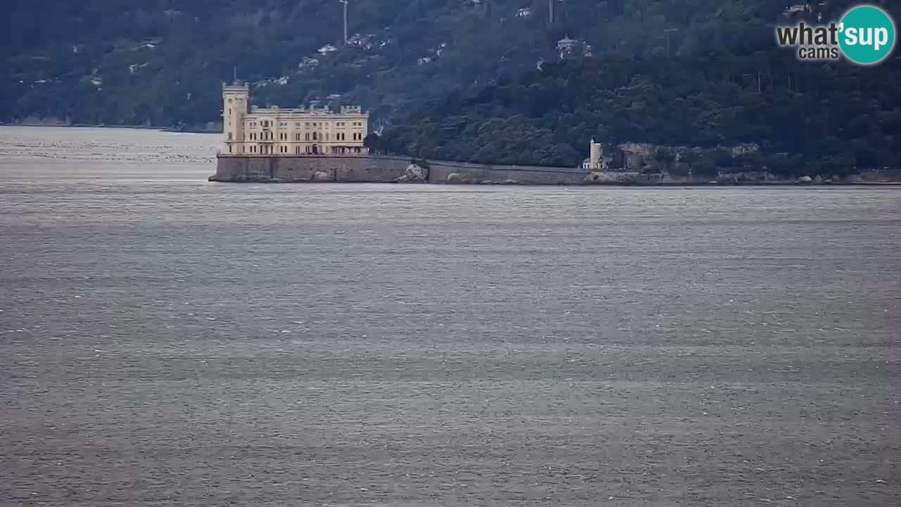 Live webcam Trieste – Panorama of the city, the Gulf, the maritime station and the Miramare castle