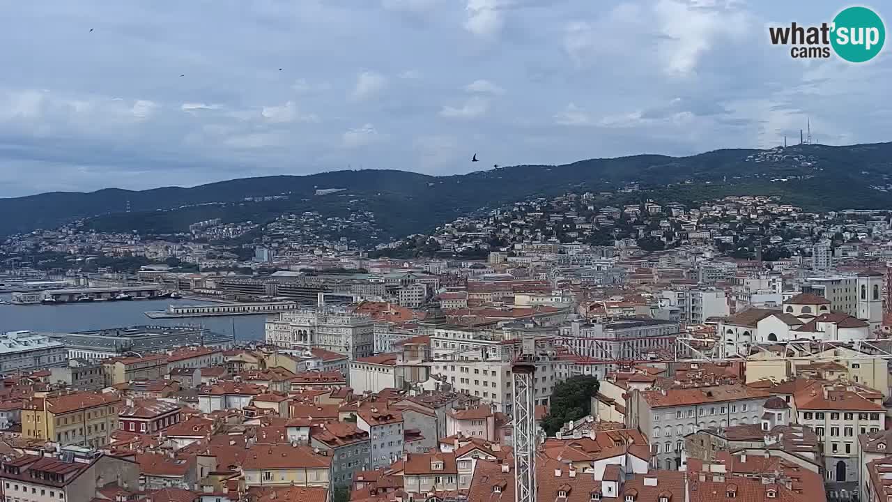 Live webcam Trieste – Panorama of the city, the Gulf, the maritime station and the Miramare castle