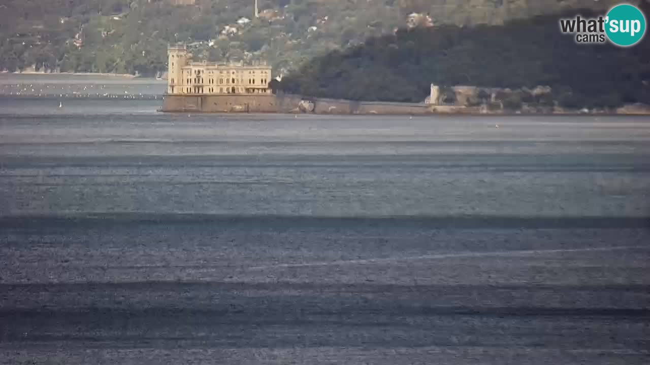 Live webcam Trieste – Panorama of the city, the Gulf, the maritime station and the Miramare castle