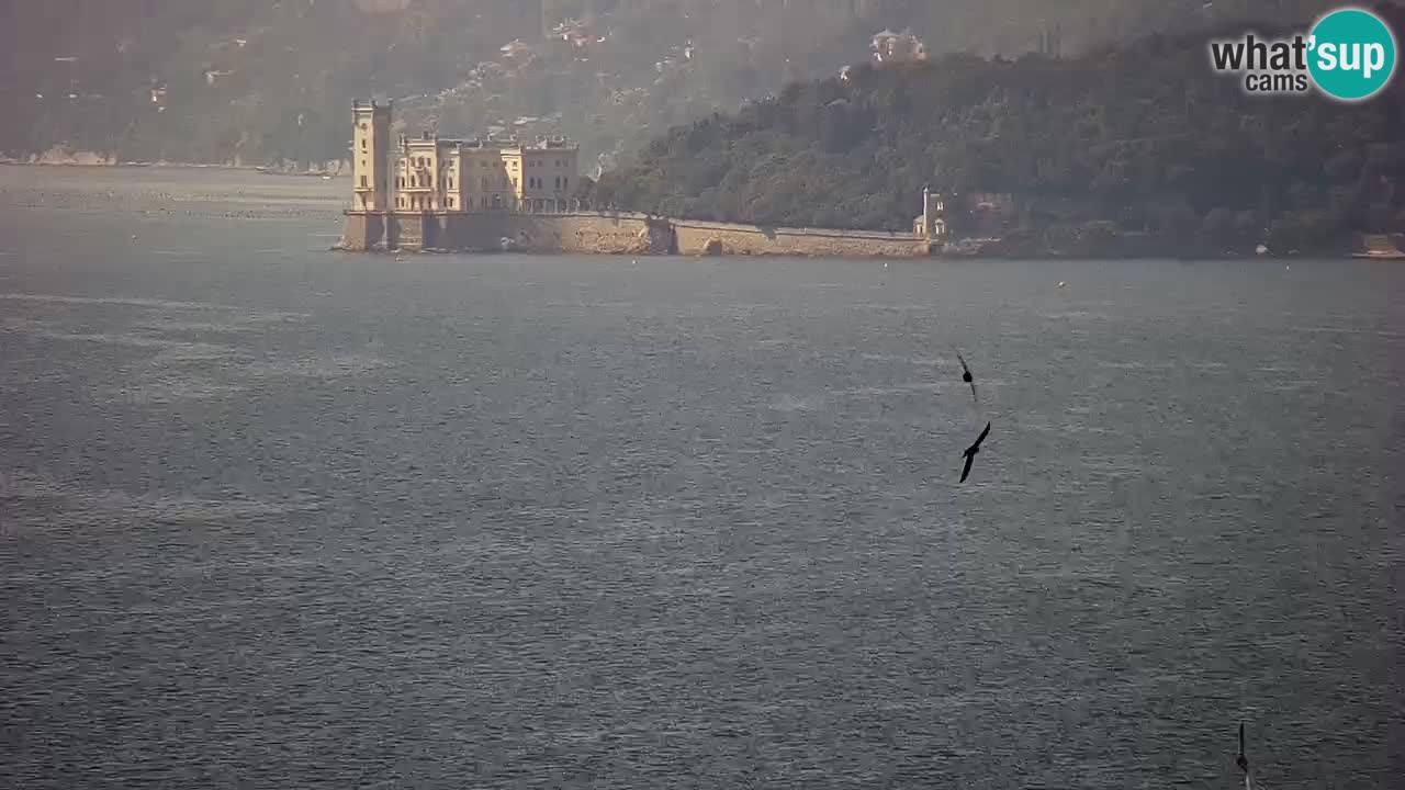 Live webcam Trieste – Panorama of the city, the Gulf, the maritime station and the Miramare castle