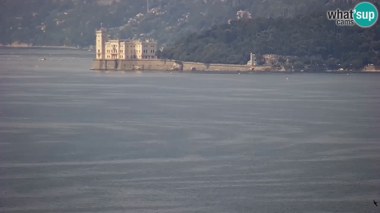Live-Webcam Triest – Panorama der Stadt, des Golfs, der Seestation und des Schlosses Miramare