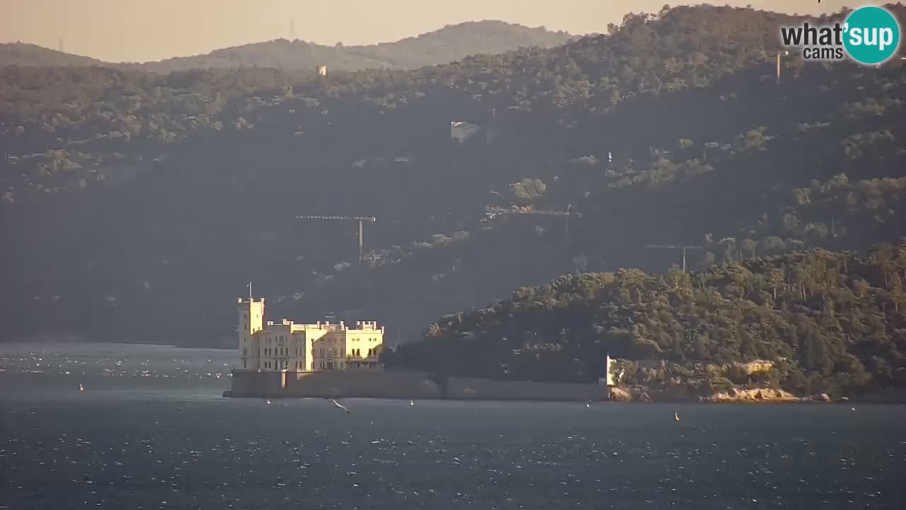 Webcam Trieste –  Vista desde el santuario Monte Grisa