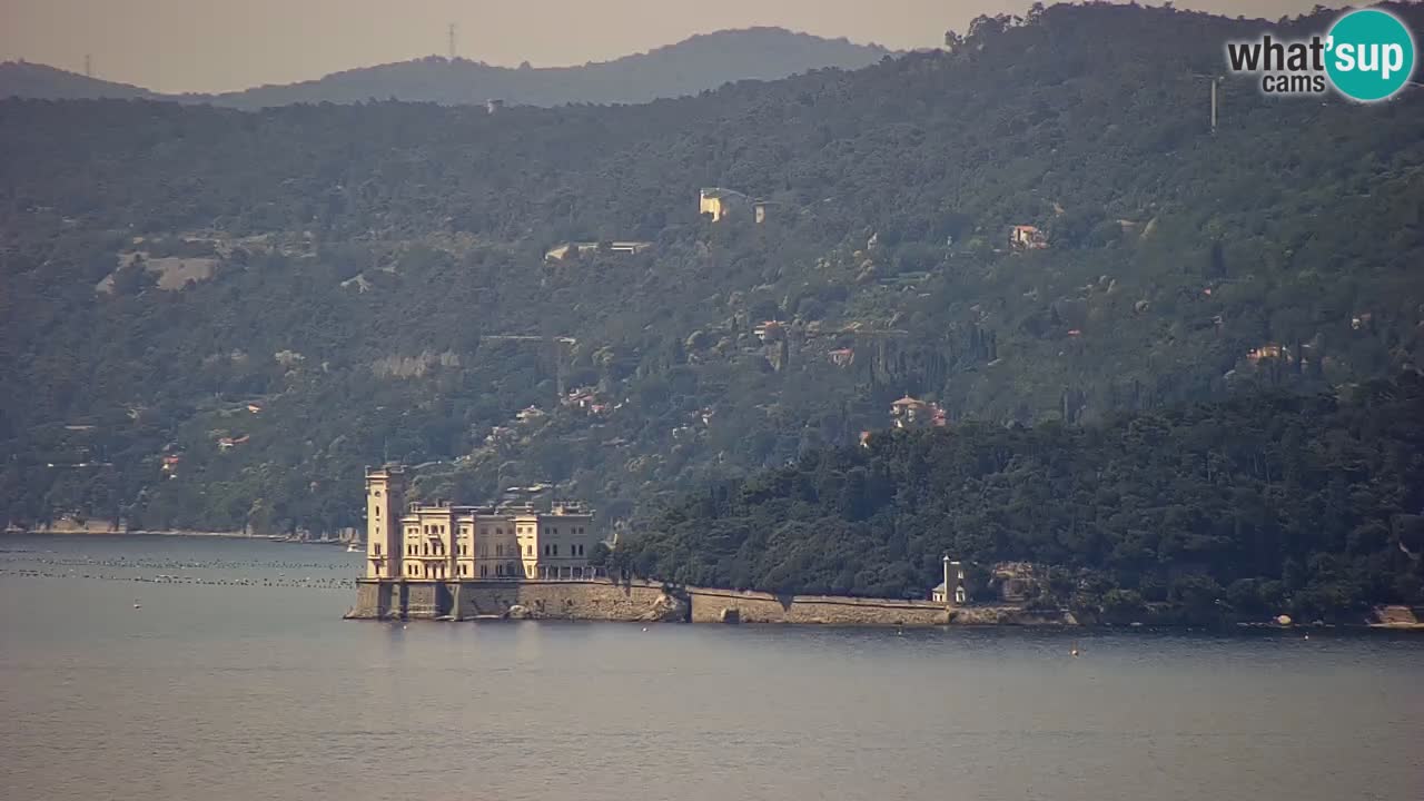 Web kamera Trst uživo – Panorama grada, zaljeva, pomorske postaje i dvorca Miramare