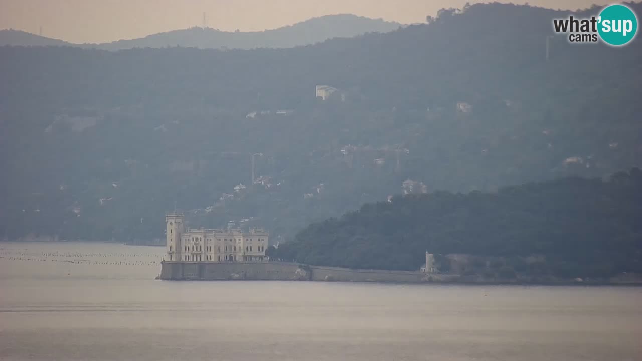 Spletna kamera v živo Trst – Panorama mesta, zaliva, pomorske postaje in gradu Miramar