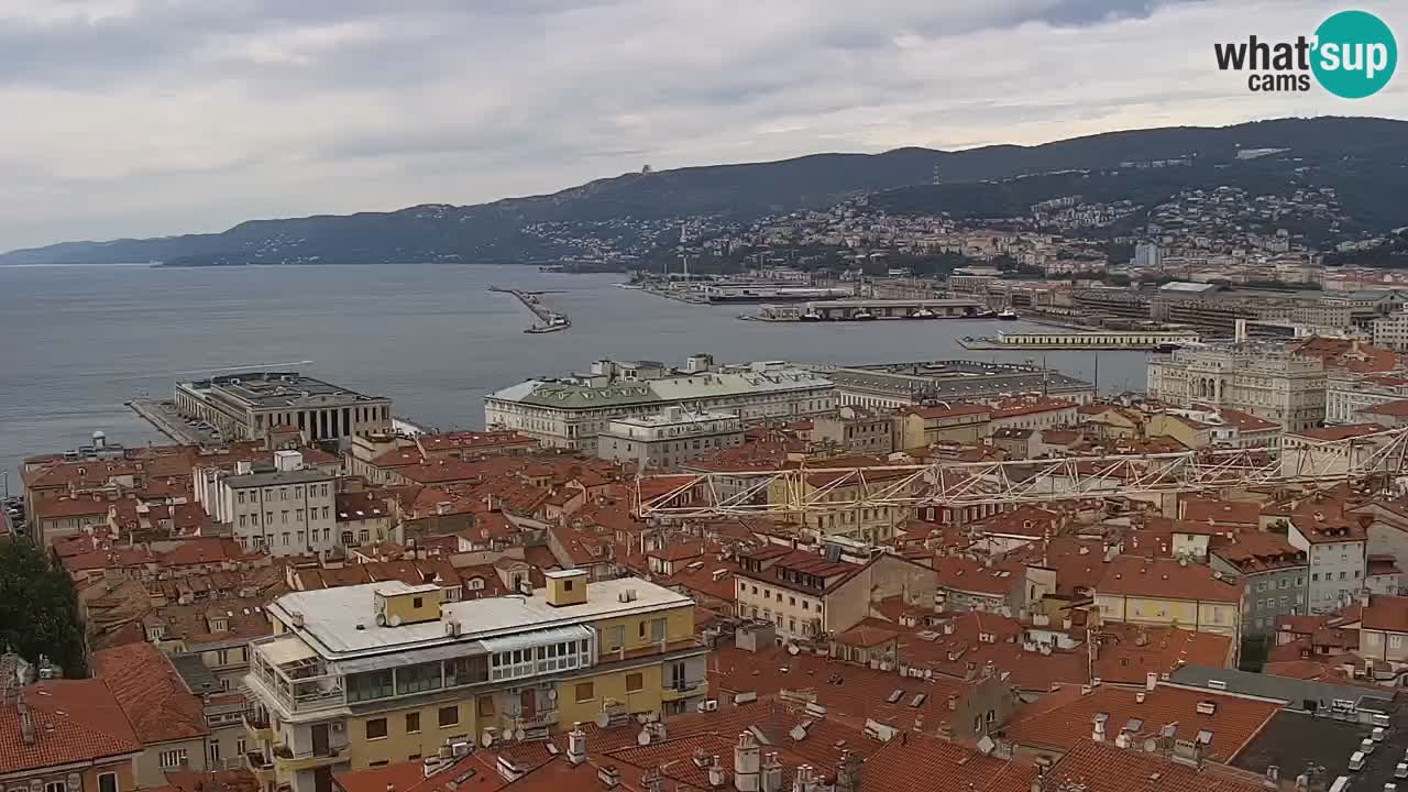Web kamera Trst uživo – Panorama grada, zaljeva, pomorske postaje i dvorca Miramare