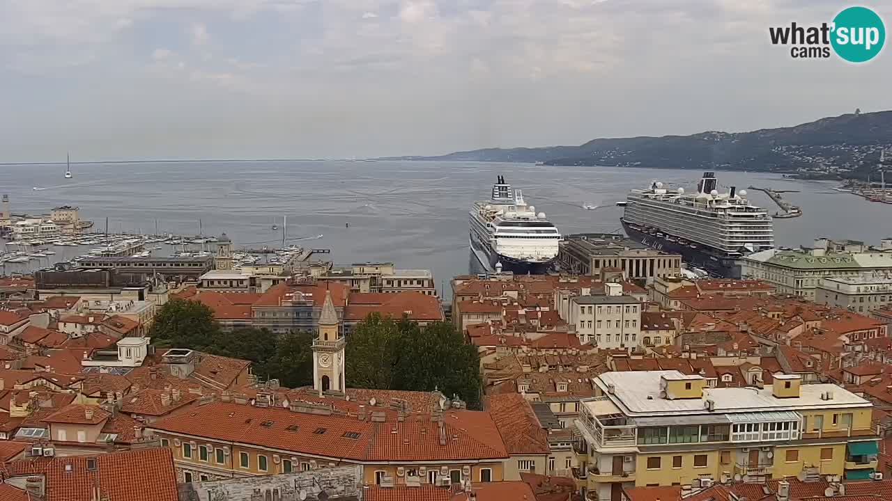 Live webcam Trieste – Panorama of the city, the Gulf, the maritime station and the Miramare castle