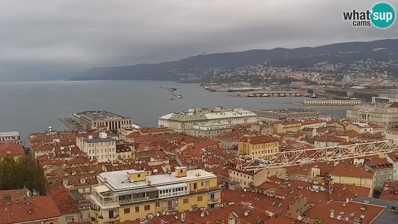 Live webcam Trieste – Panorama of the city, the Gulf, the maritime station and the Miramare castle