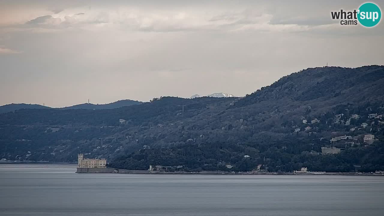 Webcam en direct Trieste, ville, golfe, port et château de Miramare