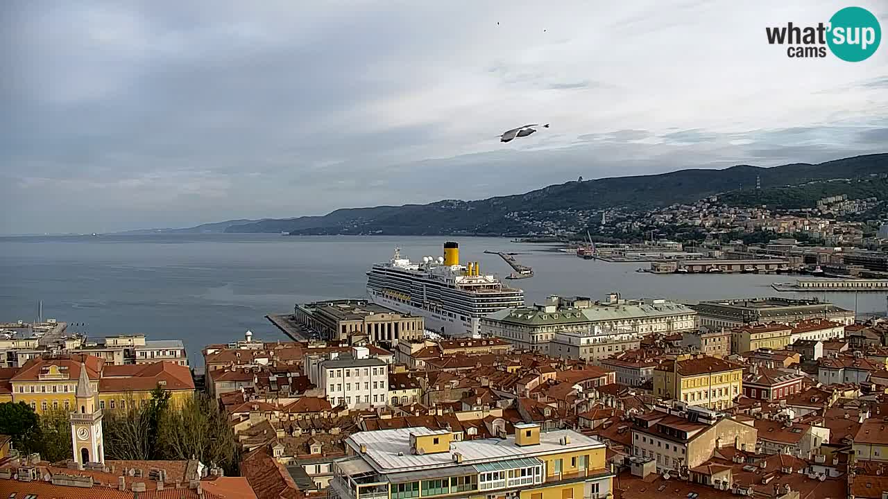 Live webcam Trieste – Panorama of the city, the Gulf, the maritime station and the Miramare castle