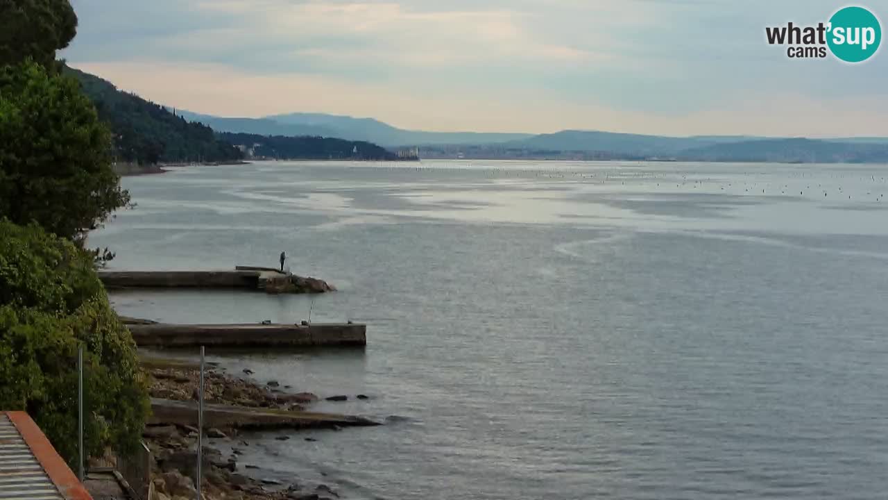 Webcam del restaurante BellaRiva | Costa de Trieste – vista hacia el castillo de Miramare
