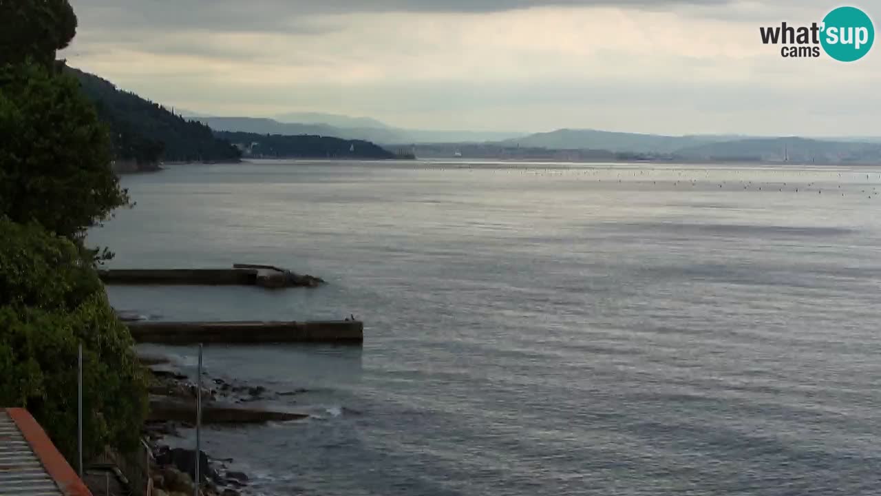 Webcam BellaRiva restaurant | Trieste coast – view to Miramare castle