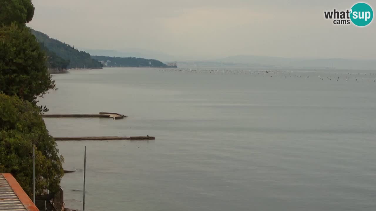 Webcam BellaRiva restaurant | Trieste coast – view to Miramare castle