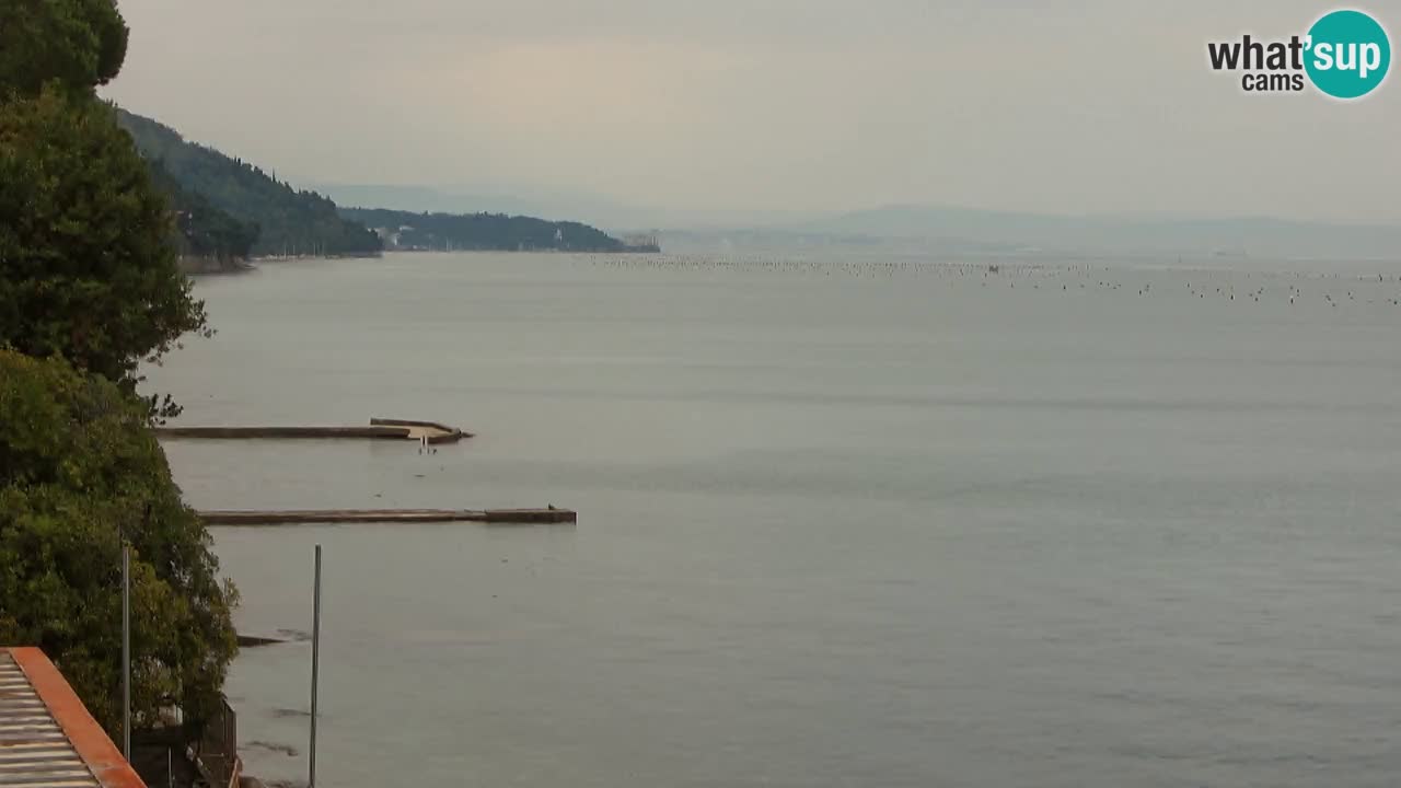 Webcam del restaurante BellaRiva | Costa de Trieste – vista hacia el castillo de Miramare