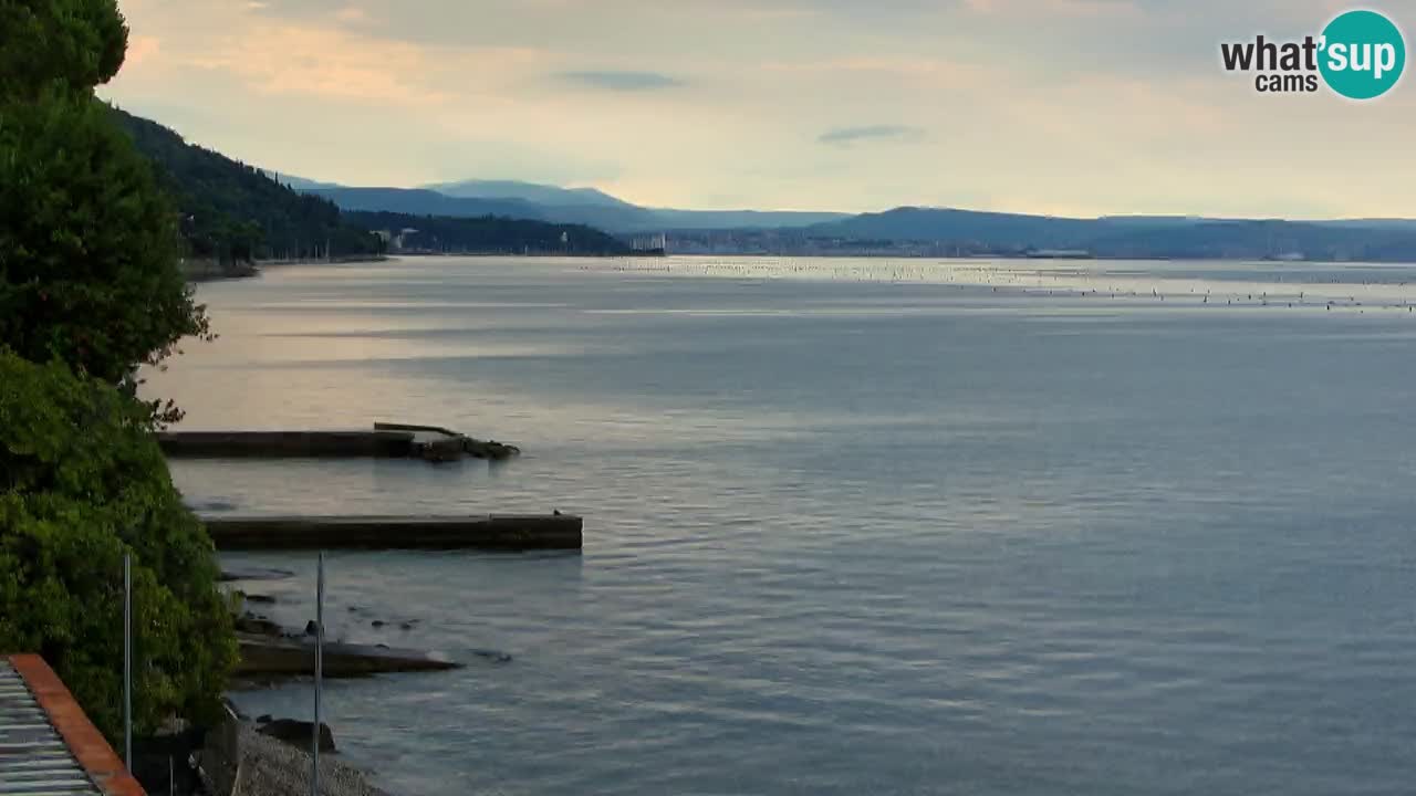 Webcam BellaRiva restaurant | Trieste coast – view to Miramare castle