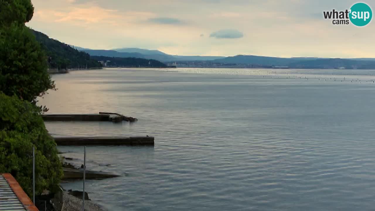 Webcam del restaurante BellaRiva | Costa de Trieste – vista hacia el castillo de Miramare