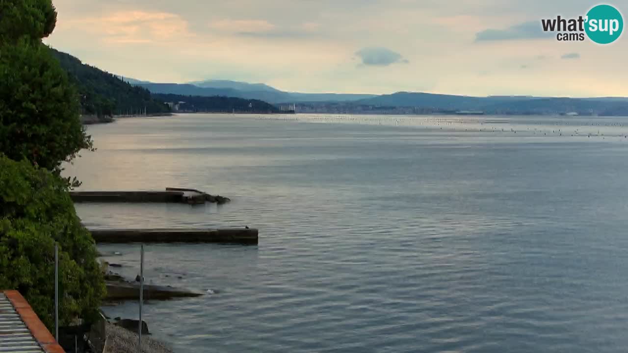 Trattoria BellaRiva webcam | Trieste costiera e castello di Miramare