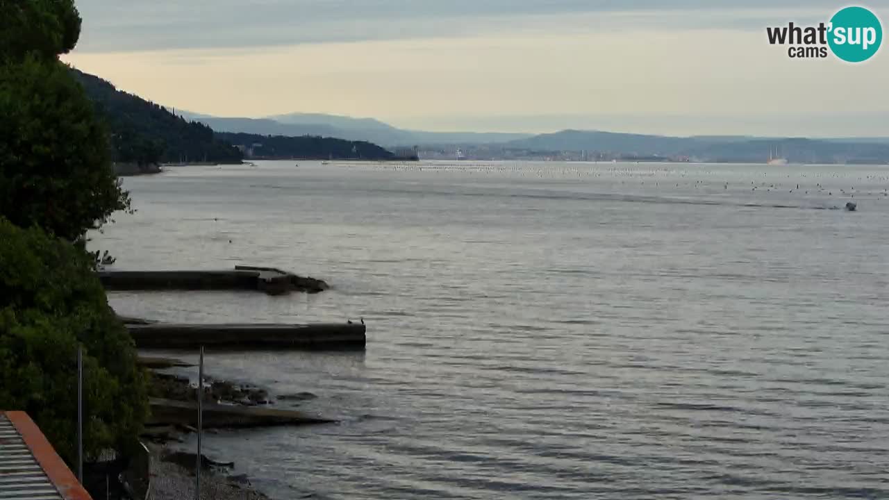 Webcam Restaurant BellaRiva | Küste von Triest – Blick auf das Schloss Miramare