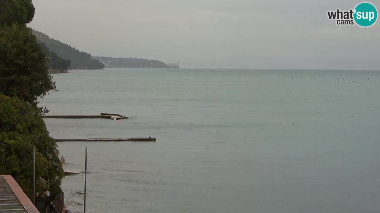 Webcam du restaurant BellaRiva | Côte de Trieste – vue sur le château de Miramare