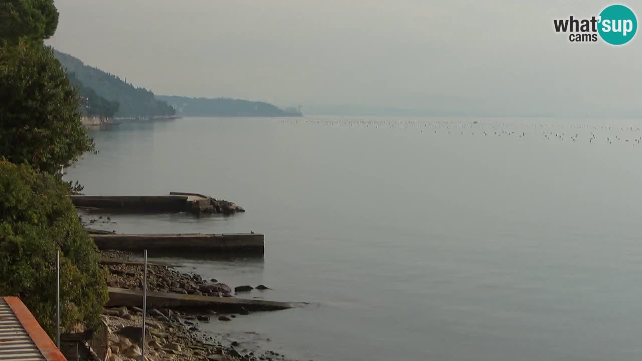 Trattoria BellaRiva webcam | Trieste costiera e castello di Miramare