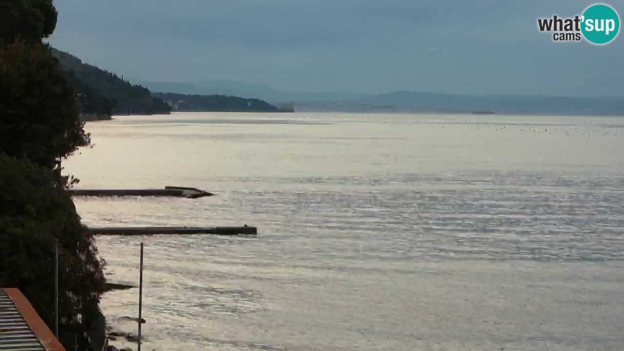 Webcam del restaurante BellaRiva | Costa de Trieste – vista hacia el castillo de Miramare