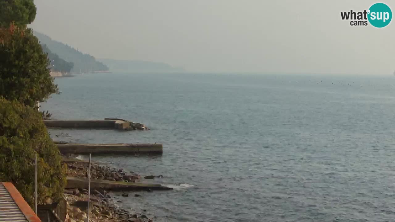 Webcam BellaRiva restaurant | Trieste coast – view to Miramare castle