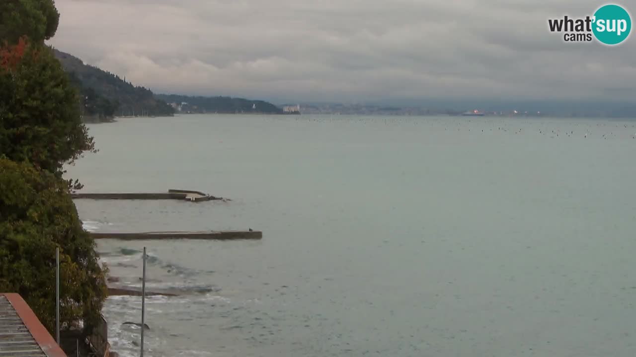 Webcam del restaurante BellaRiva | Costa de Trieste – vista hacia el castillo de Miramare