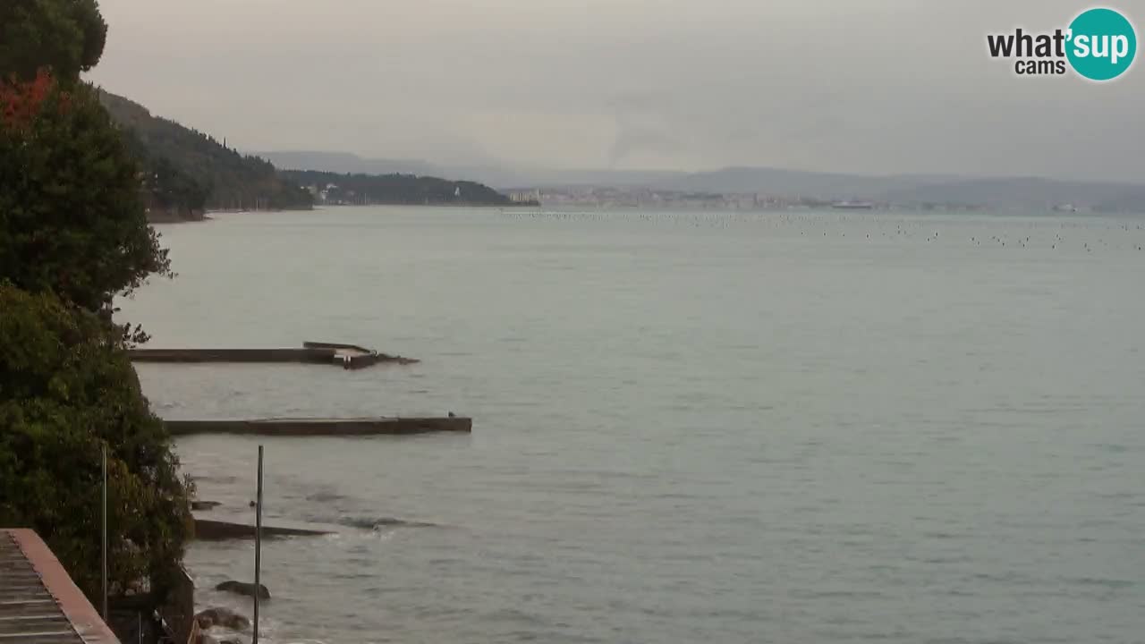 Webcam del restaurante BellaRiva | Costa de Trieste – vista hacia el castillo de Miramare