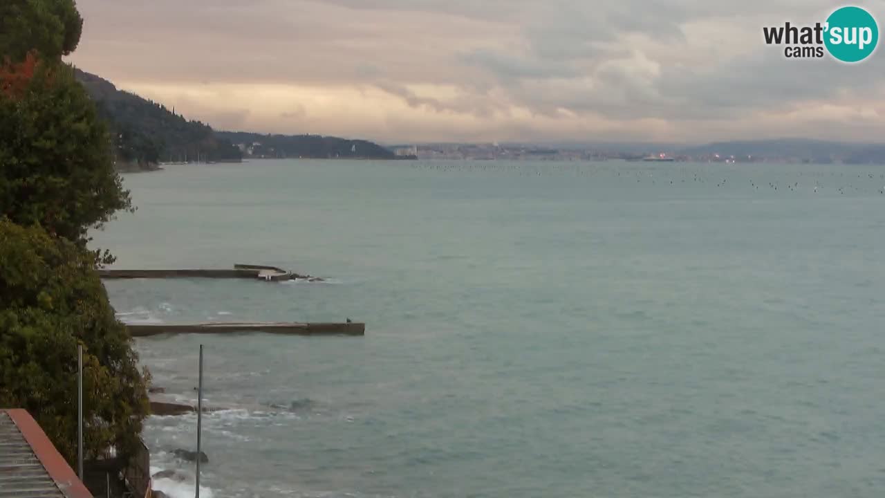 Webcam del restaurante BellaRiva | Costa de Trieste – vista hacia el castillo de Miramare