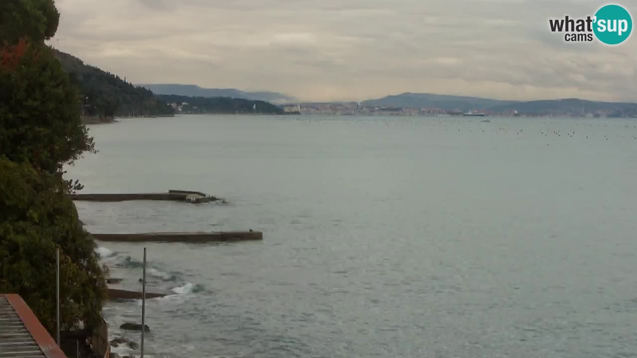 Trattoria BellaRiva webcam | Trieste costiera e castello di Miramare