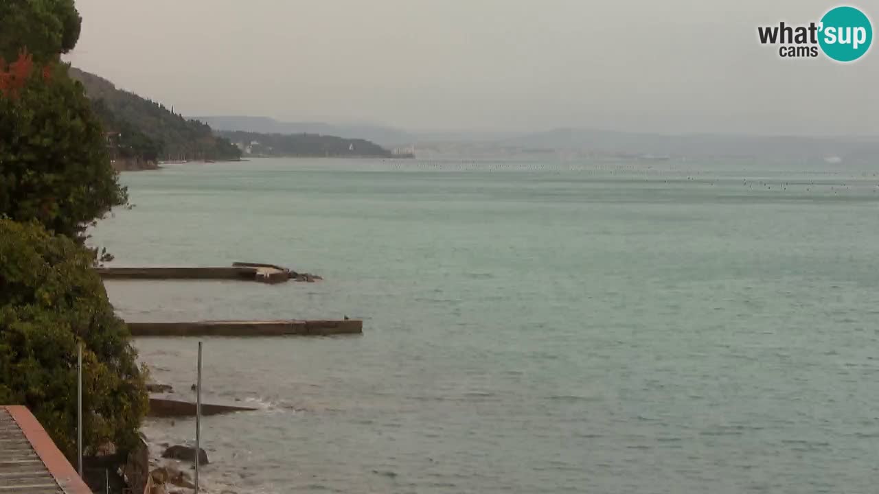 Webcam del restaurante BellaRiva | Costa de Trieste – vista hacia el castillo de Miramare