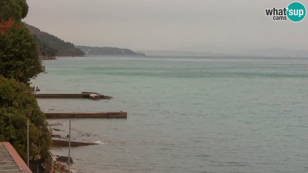 Webcam del restaurante BellaRiva | Costa de Trieste – vista hacia el castillo de Miramare