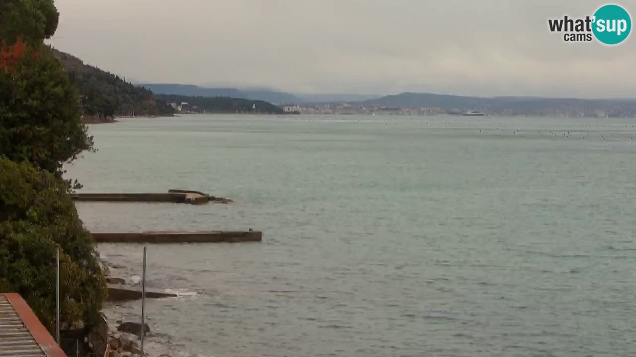 Webcam del restaurante BellaRiva | Costa de Trieste – vista hacia el castillo de Miramare