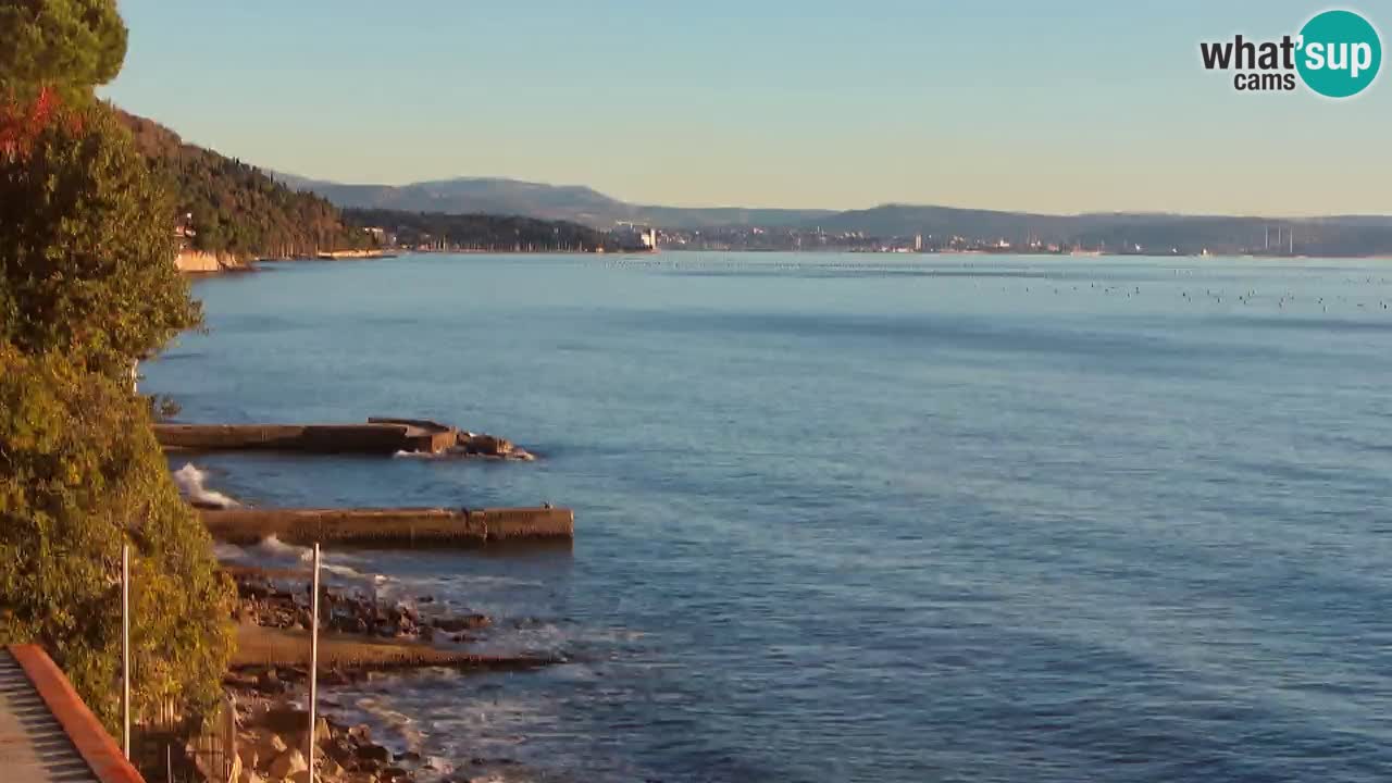 Webcam Restaurant BellaRiva | Küste von Triest – Blick auf das Schloss Miramare