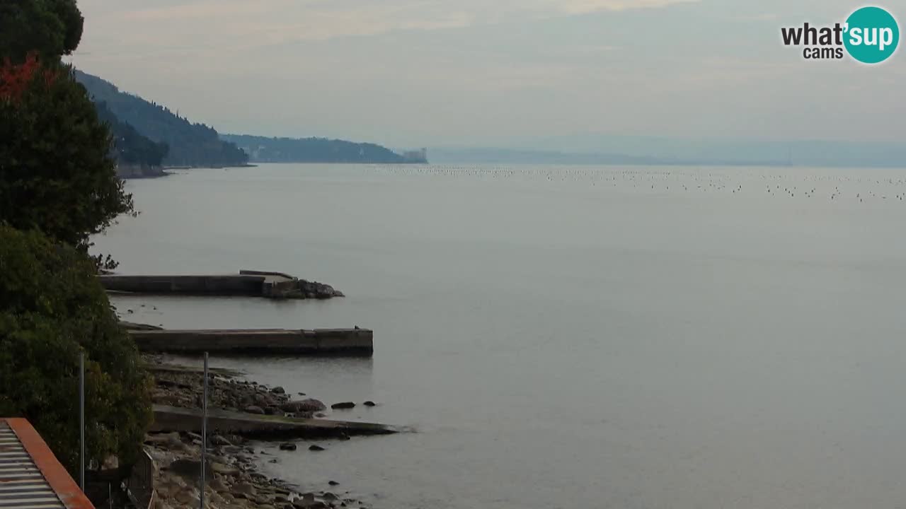 Webcam del restaurante BellaRiva | Costa de Trieste – vista hacia el castillo de Miramare