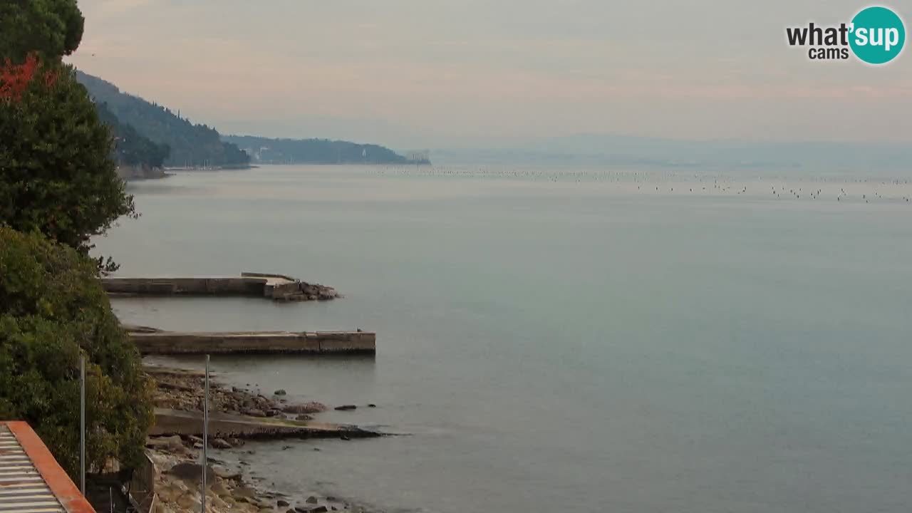 Trattoria BellaRiva webcam | Trieste costiera e castello di Miramare