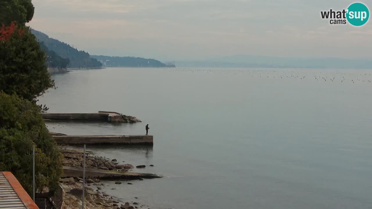 Webcam del restaurante BellaRiva | Costa de Trieste – vista hacia el castillo de Miramare