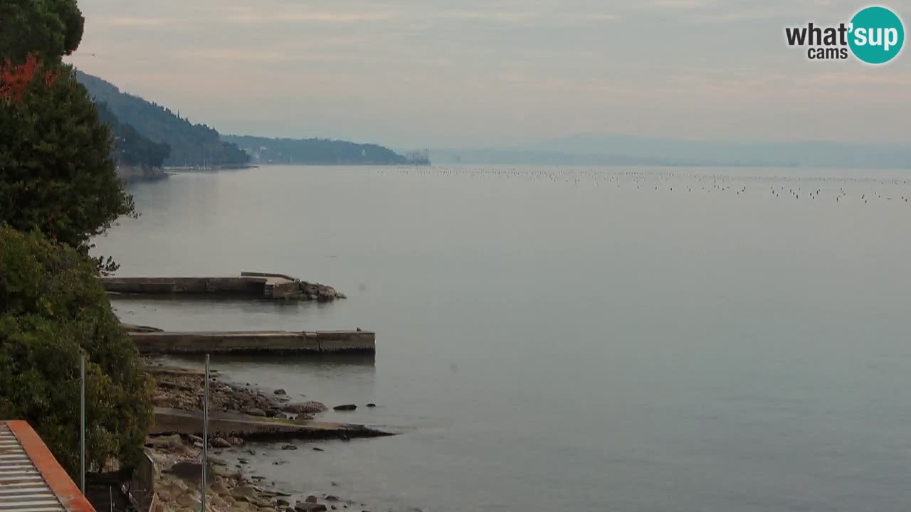 Webcam Restaurant BellaRiva | Küste von Triest – Blick auf das Schloss Miramare