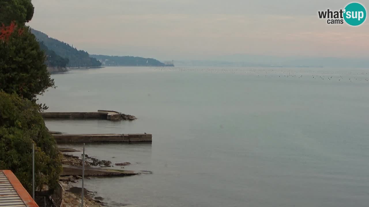 Trattoria BellaRiva webcam | Trieste costiera e castello di Miramare