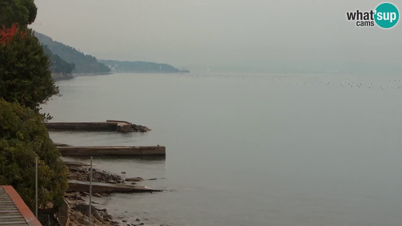 Trattoria BellaRiva webcam | Trieste costiera e castello di Miramare