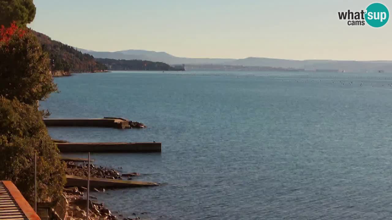 Webcam Restaurant BellaRiva | Küste von Triest – Blick auf das Schloss Miramare