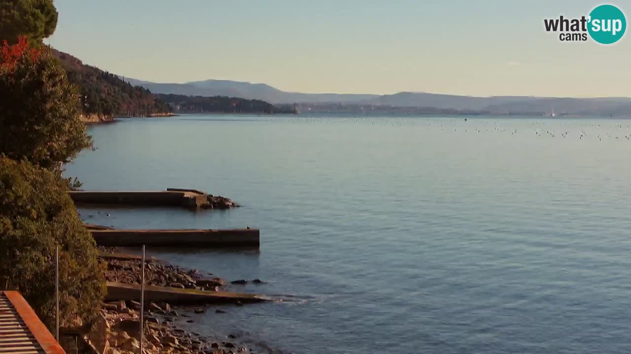 Trattoria BellaRiva webcam | Trieste costiera e castello di Miramare