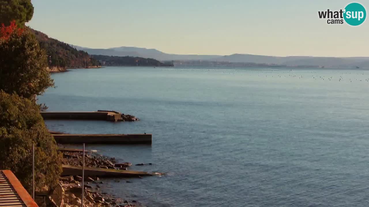 Webcam del restaurante BellaRiva | Costa de Trieste – vista hacia el castillo de Miramare