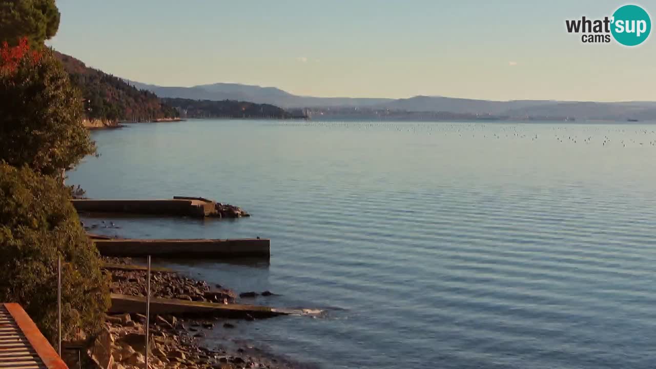 Webcam del restaurante BellaRiva | Costa de Trieste – vista hacia el castillo de Miramare