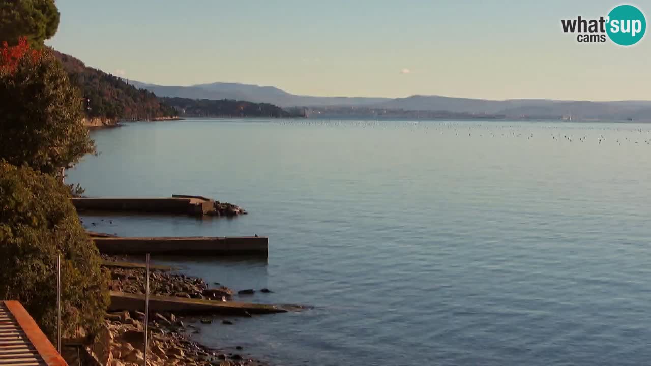 Webcam del restaurante BellaRiva | Costa de Trieste – vista hacia el castillo de Miramare