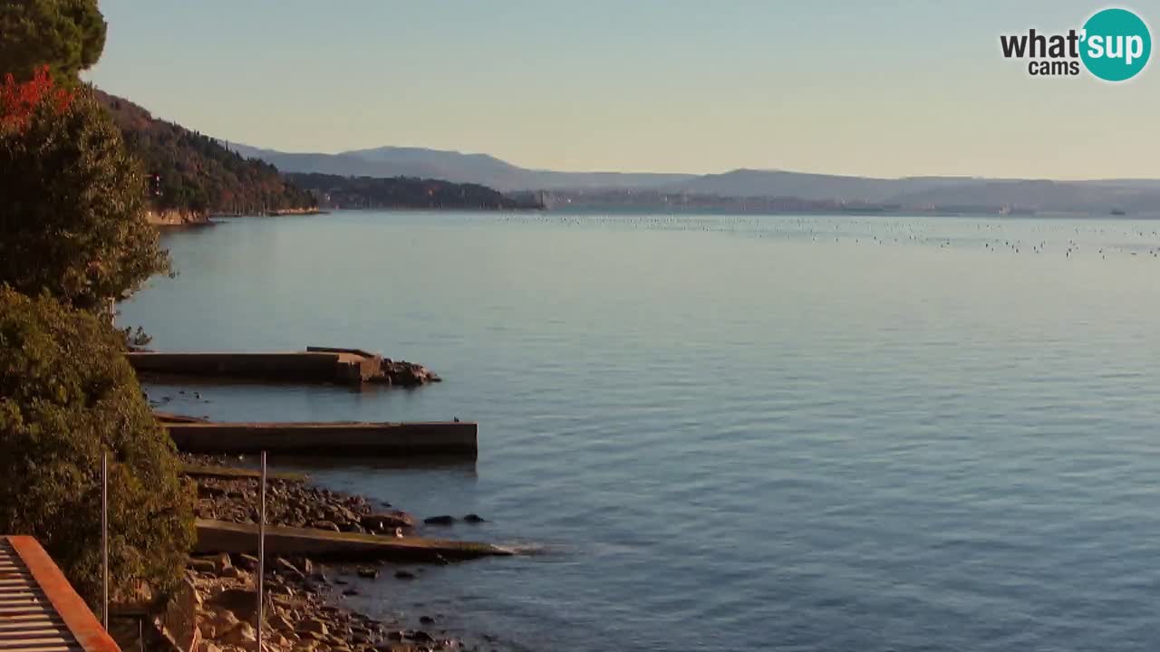 Trattoria BellaRiva webcam | Trieste costiera e castello di Miramare