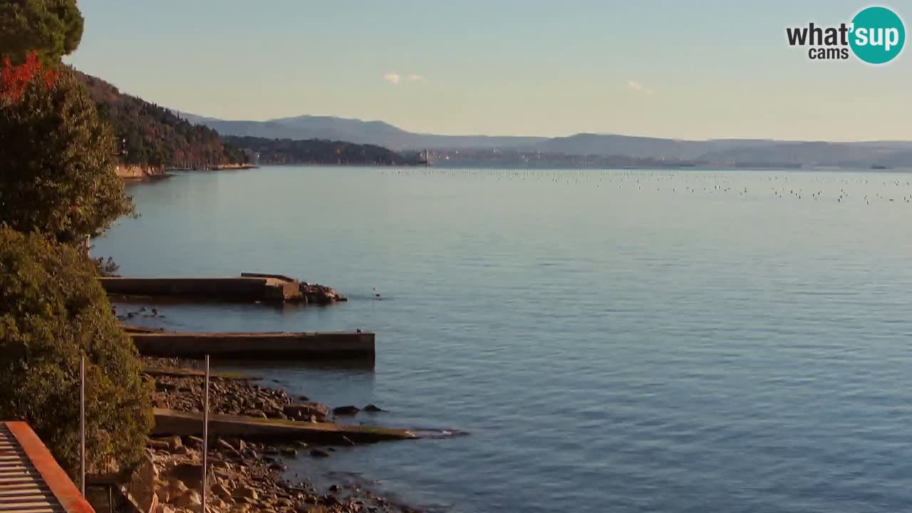 Webcam del restaurante BellaRiva | Costa de Trieste – vista hacia el castillo de Miramare