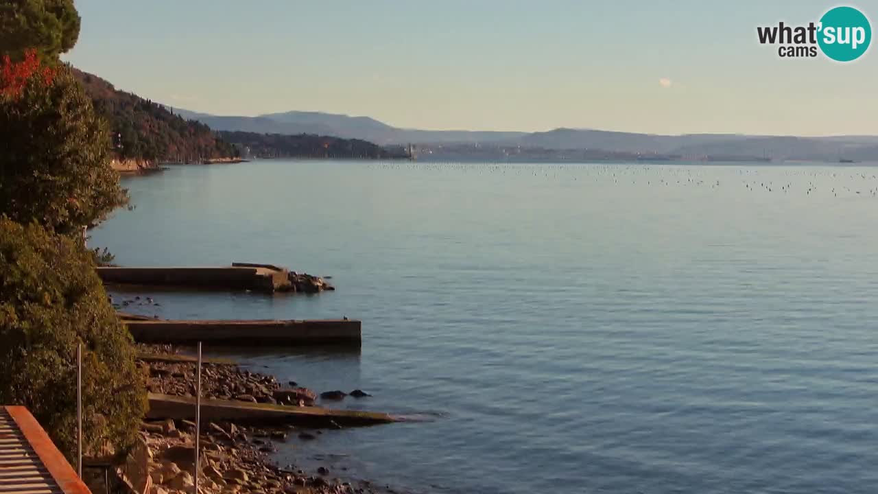 Webcam del restaurante BellaRiva | Costa de Trieste – vista hacia el castillo de Miramare