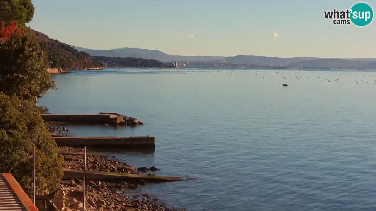 Trattoria BellaRiva webcam | Trieste costiera e castello di Miramare