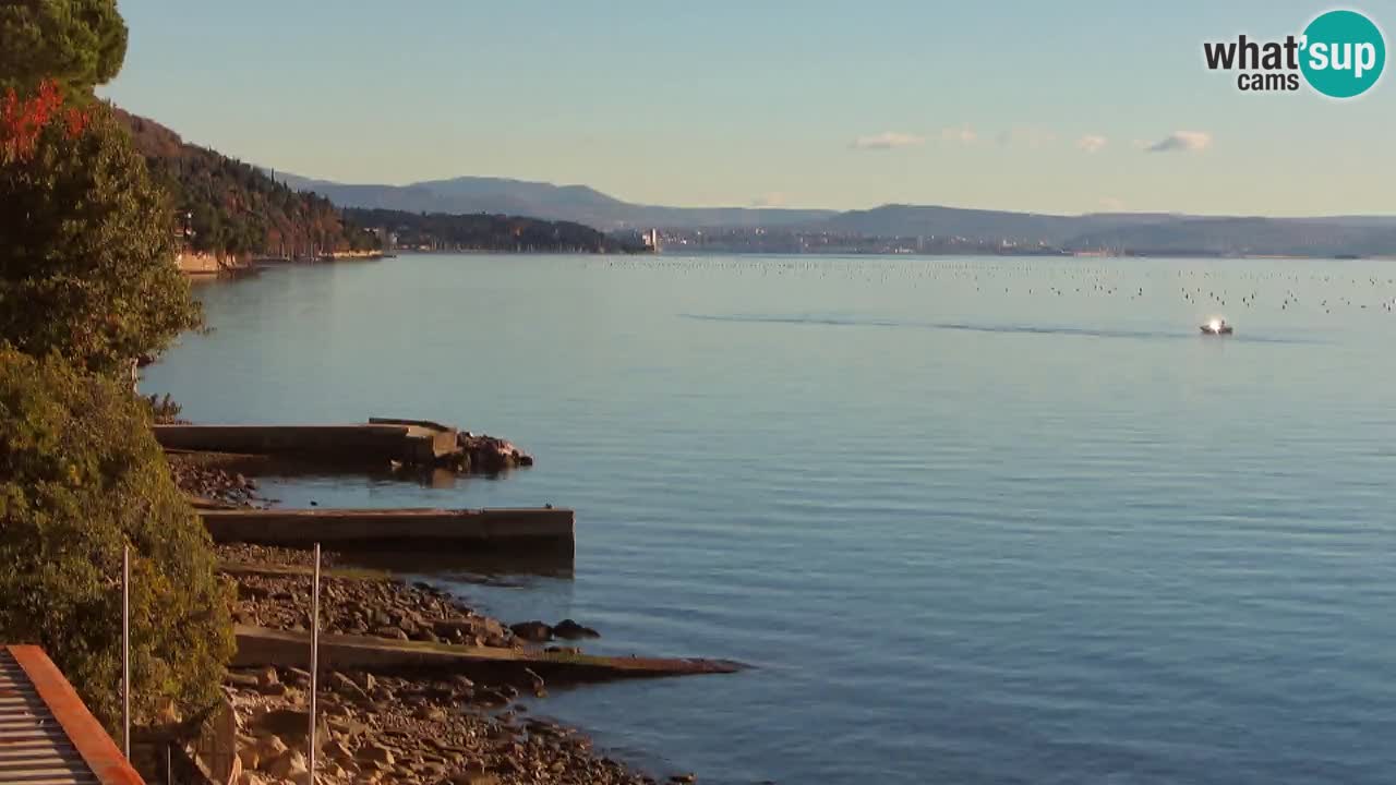 Webcam del restaurante BellaRiva | Costa de Trieste – vista hacia el castillo de Miramare