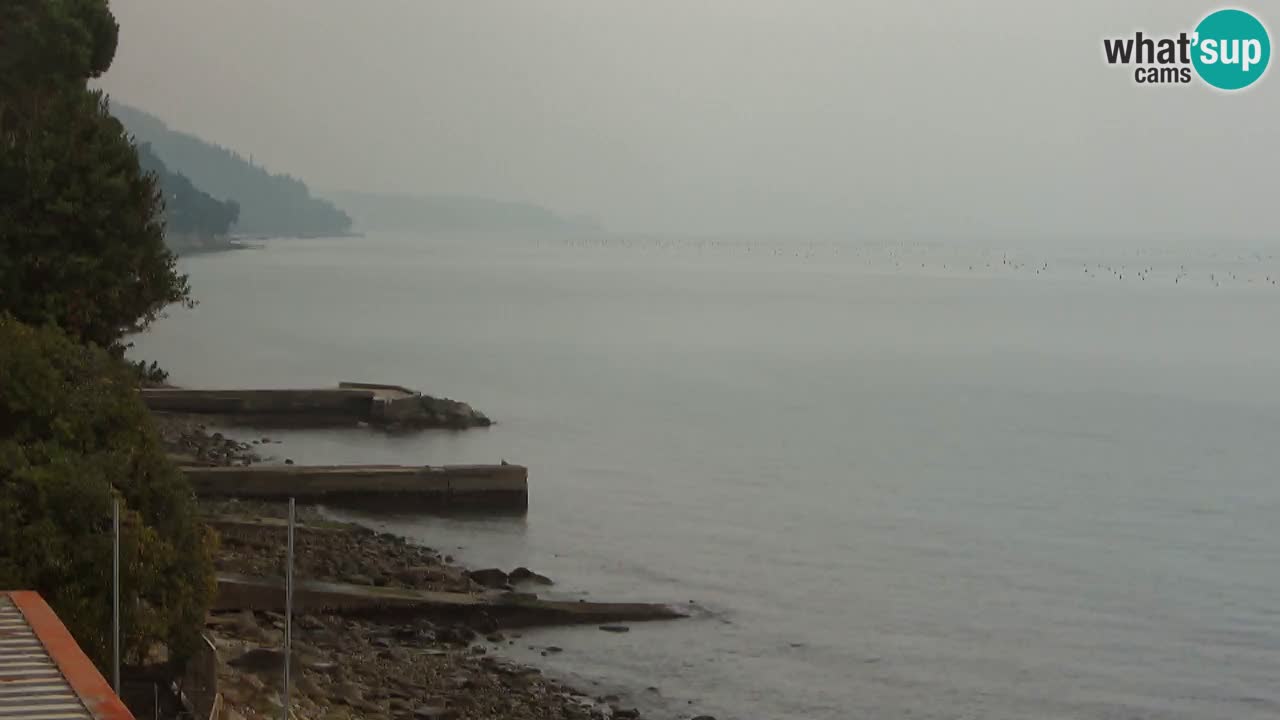 Webcam Restaurant BellaRiva | Küste von Triest – Blick auf das Schloss Miramare